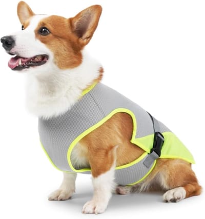 Famanu - Koelvest voor honden, mesh huisdier ijsvest w/verstelbare riemen voor kleine, middelgrote en grote honden, outdoor jacht, training, kamperen