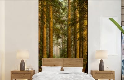 Behang - Fotobehang Bos - Natuur - Bomen - Landschap - Bladeren - Breedte 120 cm x hoogte 240 cm