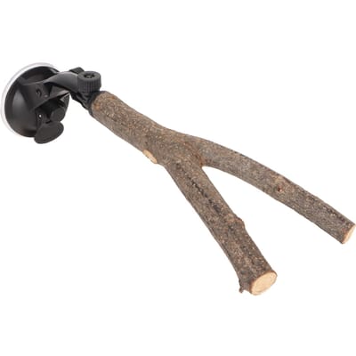 Interactieve, antislip houten papegaaienzitstok met zuignappen voor kleine en middelgrote vogels. 20cm / 7.9in