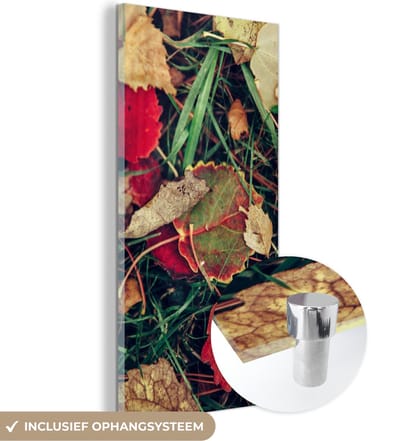 MuchoWow® Glasschilderij 20x40 cm - Schilderij acrylglas - Bladeren - November - Herfst - Natuur - Foto op glas - Schilderijen