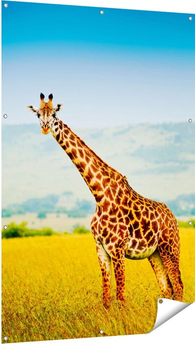 Gards Tuinposter Giraffe in het Veld - 100x150 cm - Tuindoek - Tuindecoratie - Wanddecoratie buiten - Tuinschilderij