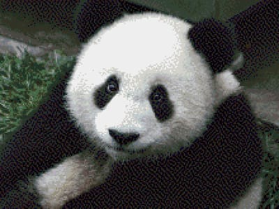 MyHobby Borduurpakket – Panda 40×30 cm - Aida borduurstof 5,5 kruisjes/cm (14 count) - Telpatroon - Borduurgaren - Borduurnaald - Handleiding - Voor Beginners & Gevorderden - Complete borduurset