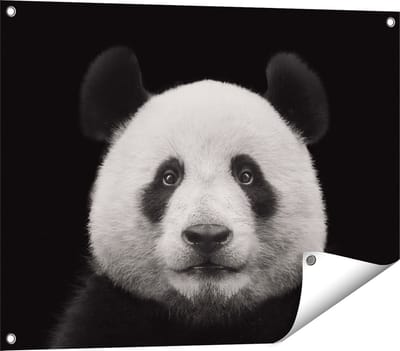 Gards Tuinposter Panda - Pandakop - 80x60 cm - Tuindoek - Tuindecoratie - Wanddecoratie buiten - Tuinschilderij