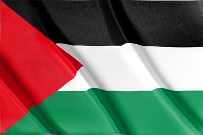 Palestijnse vlag - 200x100 cm - Palestina vlag - Duurzame vlag