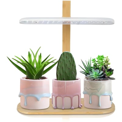 Lampe de culture LED à spectre complet, 10W, lumière de table réglable en hauteur pour plantes d'intérieur avec EU Plug blanc