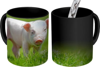 Magische Mok - Foto op Warmte Mokken - Koffiemok - Biggetje - Konijn - Dieren - Magic Mok - Beker - 350 ML - Theemok