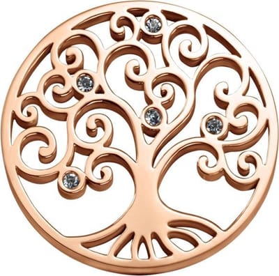 Quiges - Munthouder Munt 25mm RVS met Zirkonia Levensboom Roségoudkleurig - EPRS095