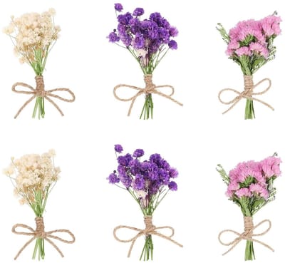 Allecto - Natuurlijke Gedroogde Bloemen - Decoratieve Bloemen - Voor Huis en Tuin - Unieke Bloemdecoratie - Perfect voor Interieur - Ideaal voor DI...