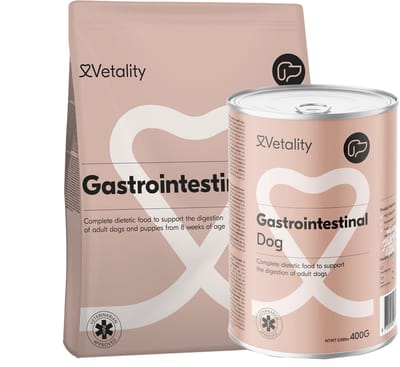Vetality Hondenvoer Gastrointestinal - 3 kg + 6 x 400 gram - Hondenbrokken - Natvoer Hond - Licht Verteerbaar - Omega3