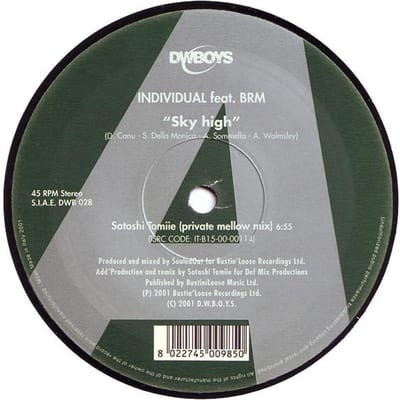 12-inch Plaat INDIVIDUEEL, BILLIE RAY MARTIN - Sky High DWB028 DWBoys 2001 Italië Dans & Electronica Gebruikt gray