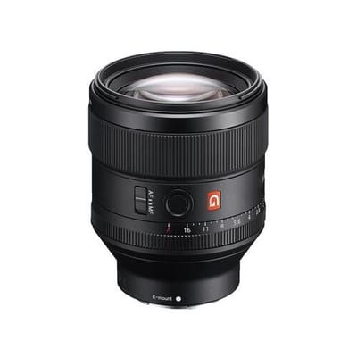 SEL 85mm f/1.4 GM  Sony FE-vatting