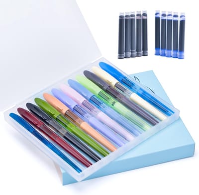 Set van 12 vulpennen met fijne nib en 10 navullingen (5 zwart + 5 blauw) in diverse kleuren, inclusief etui en navulbare converters