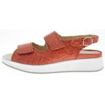 Sandalen met sleehak Solidus Hannah H