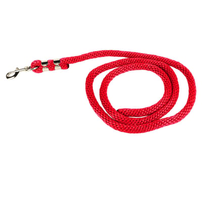 Paard Longeerlijn met Karabijnhaak Heavy Duty Hoge Treksterkte Paard Trainingstouw voor Training Wedstrijd en Dagelijkse Trekking 6.6ft