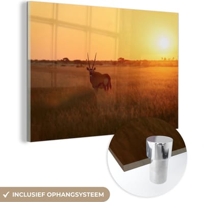 ® Glasschilderij 180x120 cm - Schilderij acrylglas - Zonsondergang in het Centrale Kalahari-Spelreserve in Afrika - Foto op glas - Muurdecoratie woonkamer - Wanddecoratie slaapkamer - Schilderijen