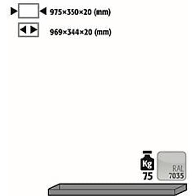 Standaard legbord voor asecos veiligheidskasten van de serie UB90, plaatstaal, lichtgrijs, B 975 x D 350 x H 20 mm, tot 30 kg