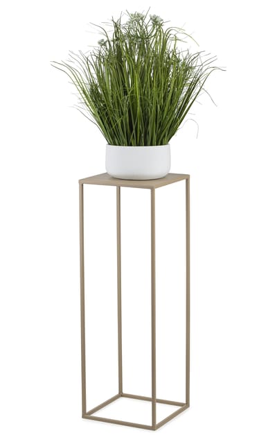 HowHomely - Stalen Plantenstandaard - Beigemetaal - 70 cm - Minimalistisch Design