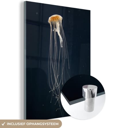 MuchoWow® Glasschilderij 120x160 cm - Schilderij acrylglas - Kwal - Zeedier - Tentakels - Foto op glas - Schilderijen