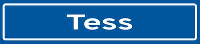 Fotofabriek Straatnaambord Tess | Straatnaambord met naam | Cadeau Tess