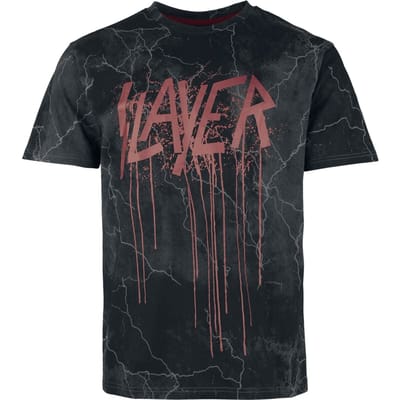 Slayer T-shirt - EMP Signature Collection - Heavyweight - M tot XXL - voor Mannen - donkergrijs