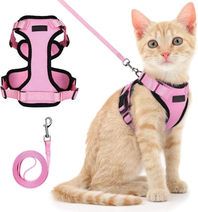 Kattentuigje met looplijn-kattentuigje-kattenharnas en riemset - Verstelbaar anti-ontsnappingsvest voor kittens - Gemakkelijk te bedienen zacht ademend mesh-jack - Met reflecterende strips - Voor katten, roze - XS