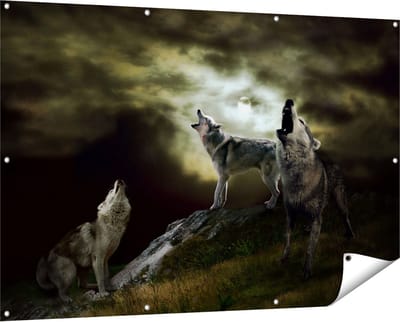 Gards Tuinposter Drie Huilende Wolven tijdens Volle Maan - 150x100 cm - Tuindoek - Tuindecoratie - Wanddecoratie buiten - Tuinschilderij