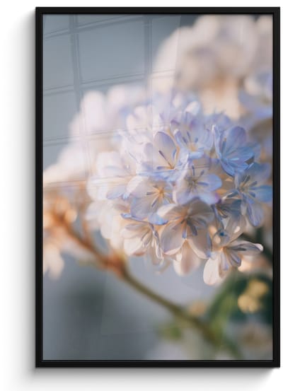 Poster in lijst - Fotolijst 80x120 cm - Posters - Bloemen - Lichtblauw - Wazig - Trosje - Posterlijst zwart - Decoratie - Wanddecoratie woonkamer - Muurdecoratie slaapkamer
