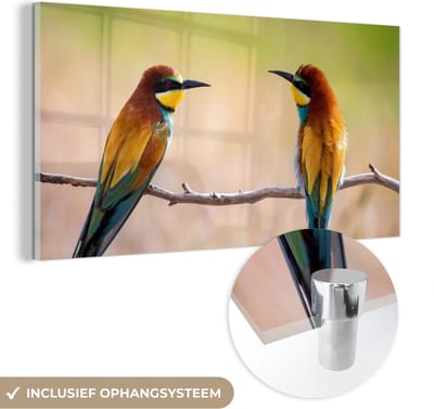 MuchoWow® Glasschilderij 40x20 cm - Schilderij acrylglas - Vogels - Bijeneter - Dieren - Foto op glas - Schilderijen