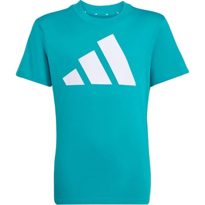 Adidas Essentials T-shirt Met Korte Mouwen Blauw 15-16 Years Jongens,Meisjes