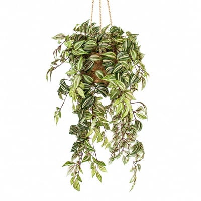 Kunstplant Tradescantia in hangmand naturel L140cm