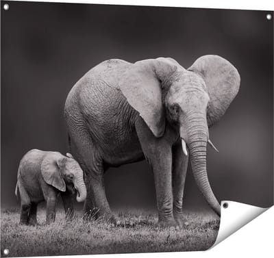 Gards Tuinposter Olifant Moeder en Zoon - Zwart Wit - 100x80 cm - Tuindoek - Tuindecoratie - Wanddecoratie buiten - Tuinschilderij