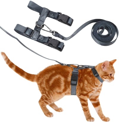 Dailygoods- Harnas Ontsnappingsbestendig - Kattentuigje met Looplijn - Lichtgewicht Huisdierharnas - Verstelbare Banden - Zacht Nylon Materiaal - Kattenharnas