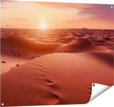 Gards Tuinposter Woestijn in de Sahara bij Zonsondergang - 100x80 cm - Tuindoek - Tuindecoratie - Wanddecoratie buiten - Tuinschilderij