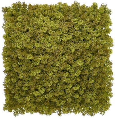 Kunsthaag wandpanelen - Mospaneel legergroen - 100x100 cm - plantenwand - groene oase