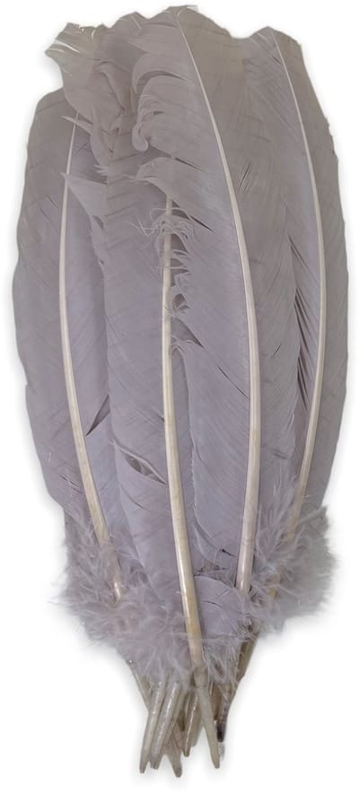 Dailygoods- Decoratieve Veren Set - Echte Natuurlijke Veren - Knutselen - Bruiloft Decoratie - Kostuumaccessoires - Tafeldecoratie - Hoogwaardige Kwaliteit
