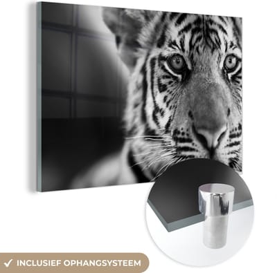 MuchoWow® Glasschilderij 60x40 cm - Schilderij acrylglas - Tijger - Welp - Zwart - Wit - Foto op glas - Schilderijen
