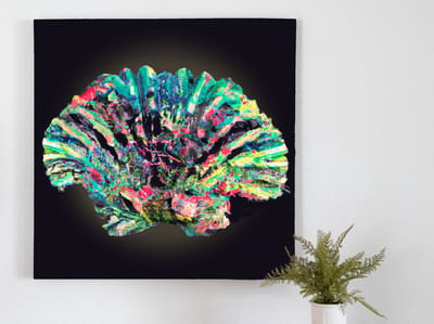 Colorful clam chaos | Colorful Clam Chaos | Kunst - 100x100 centimeter op Canvas | Foto op Canvas