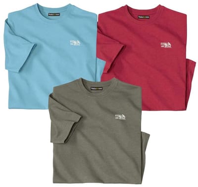 ATLAS FOR MEN - Set van 3 T-shirts Atlas® - Heren - Verkrijgbaar in grote maten - L
