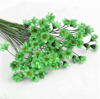 100 Groene Sterrenbloemen Takken voor DIY Kunst, Hars, Scrapbooking en Sieradenmaken Decoraties