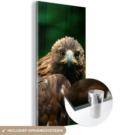 MuchoWow® Glasschilderij 20x40 cm - Schilderij acrylglas - Arend - Bruin - Roofvogel - Foto op glas - Schilderijen