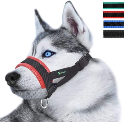 Honden muilkorf - Veiligheidsmuilkorf - Voorkomen van bijten - Verstelbaar nylon materiaal - Maat XL - Rood