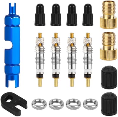 Dailygoods- Ventielreparatieset 4 Ventielkernen - 4 Ventielkerndoppen - 4 Moeren - 2 Kunststof Doppen - 2 Converters - 2 Ventielsteelverwijderingsgereedschappen - Ventielset