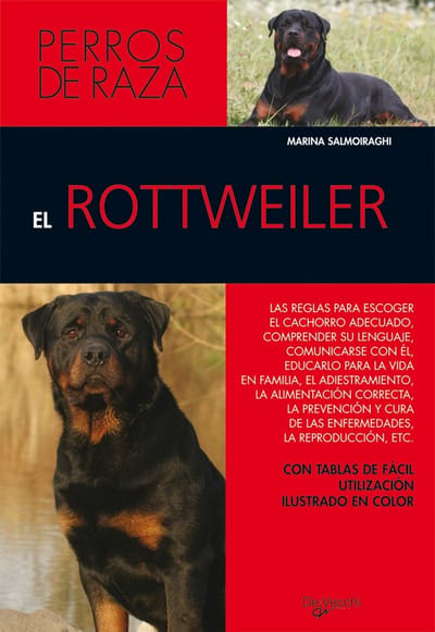 Alles over de Rottweiler: Karakter, Opvoeding en Verzorging