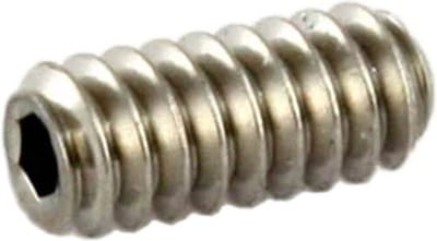 Allparts GS3382005 Brughoogte Stelschroeven voor Telecaster® – RVS 6,4 mm (Set van 8)