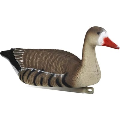 Appelants Gans  Stepland