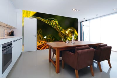 Fotobehang Seychellen DD100097 A.S. Création XXL World Trip | 3D Fotobehang