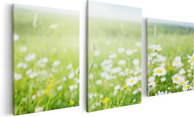 Artaza Canvas Schilderij Drieluik Bloemenveld Van Madeliefjes - Bloemen - 120x60 - Foto Op Canvas - Canvas Print