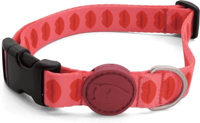 Morso - Halsband - Gerecycled - Lipstick - Roze - 30-42X1.5 cm