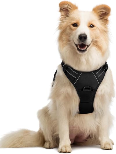 Gloovon® - Hondentuigje - Anti Trek Hondentuig met Hondenriem - Maat M - 53-71cm - Y Tuig Hond Verstelbaar - Hondenharnas - Hondentuigje Kleine Hond - Reflecterend - Zwart