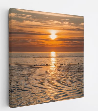 Saammp Canvas Schilderij - Vogels op een zandbank - Strand - Landschap - Natuur - 20x20 - Foto op canvas - Wanddecoratie - Muurdecoratie Woonkamer - Slaapkamer decoratie - Canvas Print